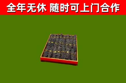 埇桥区回收海参